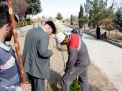 گزارش تصویری از آئیین درختکاری و تقدیر ازهمکاران فضای سبز دانشگاه